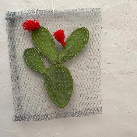 Disque Rouge Ferienhaus